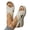 Beige, variant on Commforr Walking Sandals Women, Women's Sandals, Summer Sandals, Ladies Platform Wedge Sandal,Open Toe Crisscross Summer Walking Shoes,for Flat Feet Open Toe Buckle Strap Beach Ladies Shoes, Black, 6