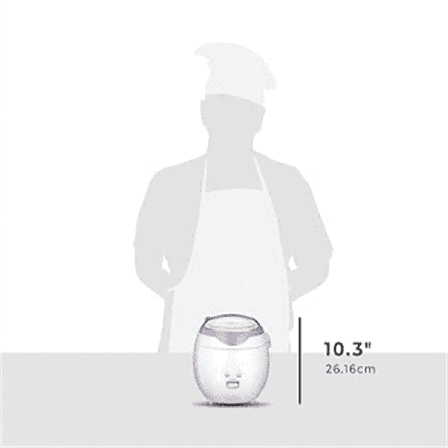 Electric Heating Rice Cooker (Violet/White)