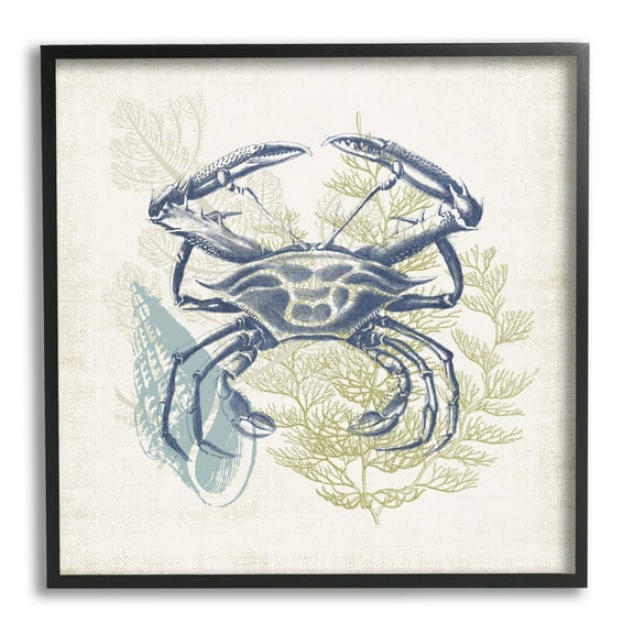 Stupell Industries Ocean Crab Detailed Botanical Overlay Rustic Design Graphic Art Black Framed Art Print Wall Art, Design by Victoria Barnes
