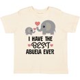 thumbnail image 3 of Inktastic Grandchild Best Abuela Ever Boys or Girls Toddler T-Shirt, 3 of 5