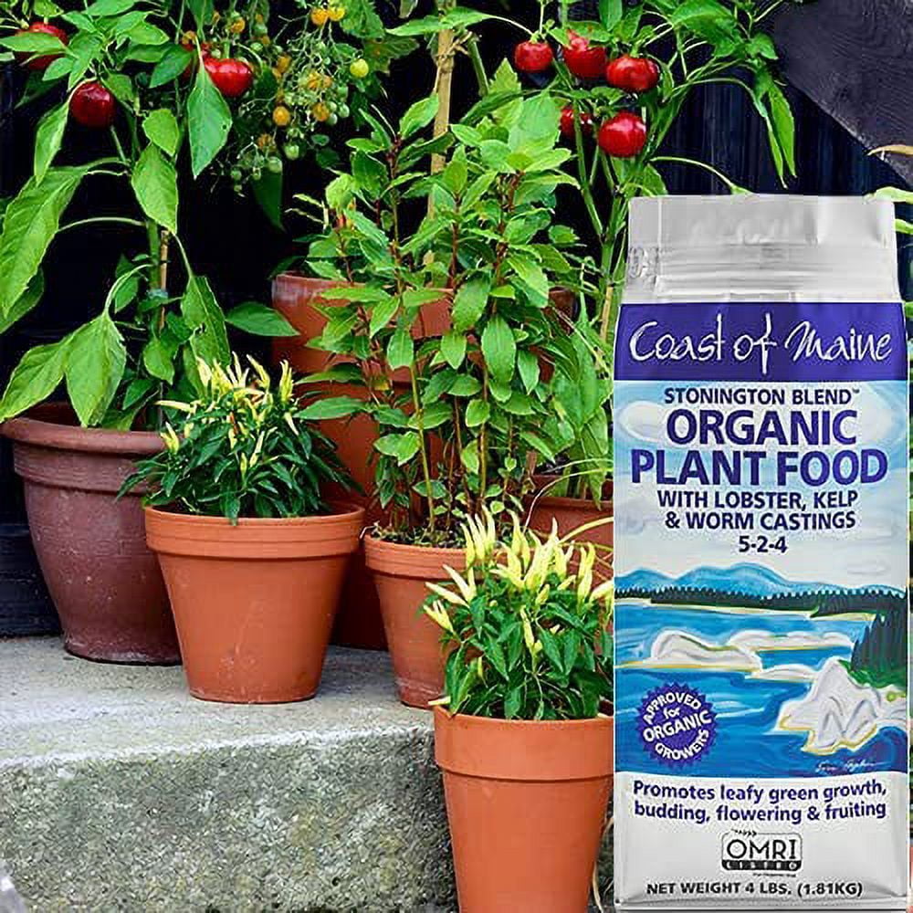 Coast of Maine Stonington Blend Lobster and Kelp Plant Food Fertilizer, 4 Pounds