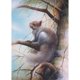 thumbnail image 1 of Taladro Diamante Pintura (DE3299) 5D DIY Bordado de punto de cruz completo (Animal-W183) 30x40cm Hugtrwg Para estrenar, 1 of 1