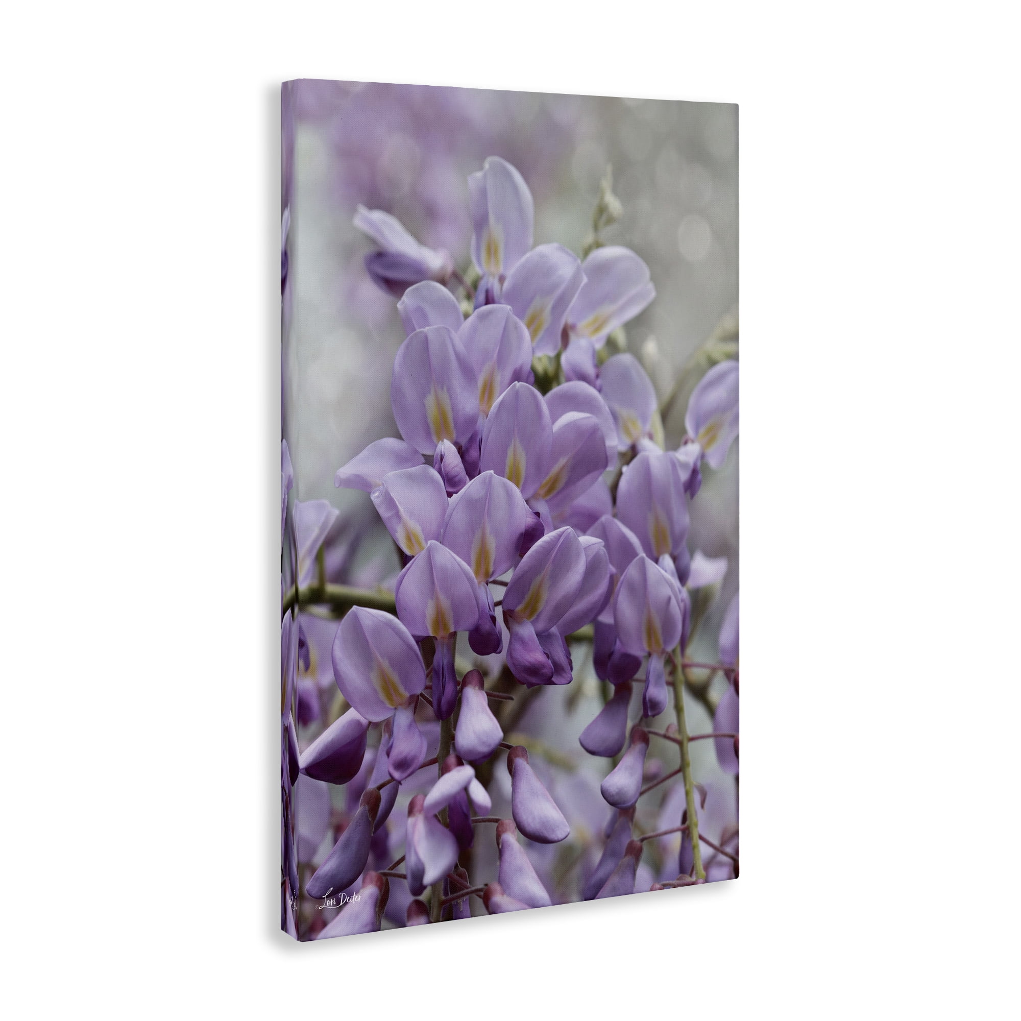 Stupell Industries Purple Orchid Petals Plants & Flowers Photography Wrapped Canvas Art Print Wall Art, 24 x 36