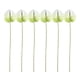 thumbnail image 1 of 6 uds flores artificiales de Anthurium centros de mesa de flores falsas decoraciones de arreglos florales, 1 of 8