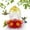 Yellow, variant on Dvkptbk Glass Feeder Stained Glass Hummingbird Feeder Bird Feeder