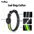 thumbnail image 3 of Pefilos 3 Modes LED Light Up Dog Collar - Bright & High Visibility Lighted Glow Collar for Pet Night Walking – USB Rechargeable Dog Necklace– Weatherproof Puppy Collar, L Green, 3 of 12