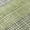 Aloe, variant on Dalyn Rugs Machine Washable Indoor/Outdoor Chantille Aloe 10' x 14' Rug