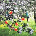 thumbnail image 2 of Humming-Bird Feeder,Handheld Humming Bird Feeder with Clip for Window Garden Decor | Flower Shape Humming-Bird Feeders for Outdoors Birds Feeding Tools Southface, 2 of 8