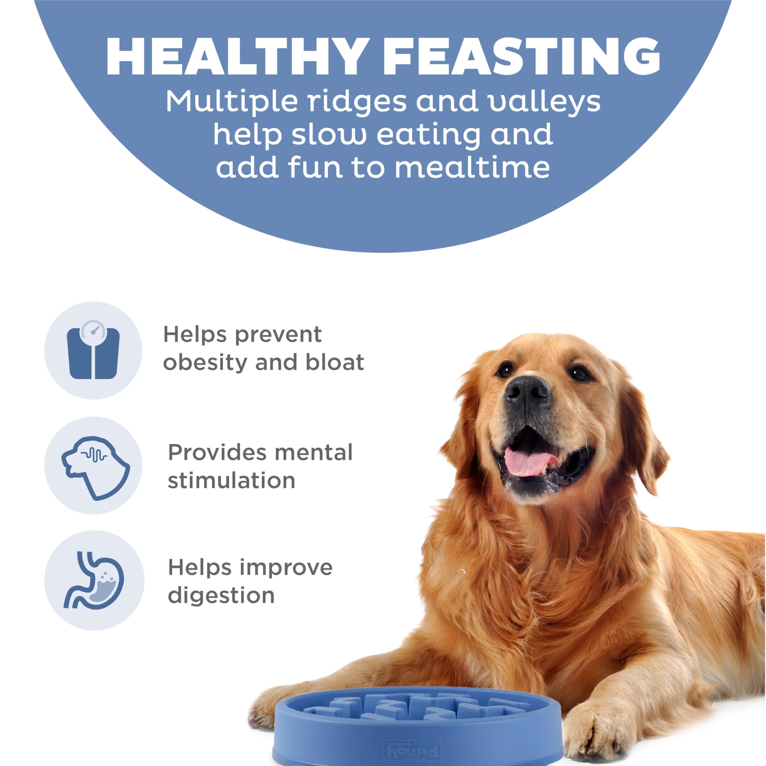 Slow feeder dog bowl, large, 4-cup maze design for medium/large dogs. Promotes healthy eating, reduces bloating/choking, interactive fun. Non-slip, easy-clean, blue.