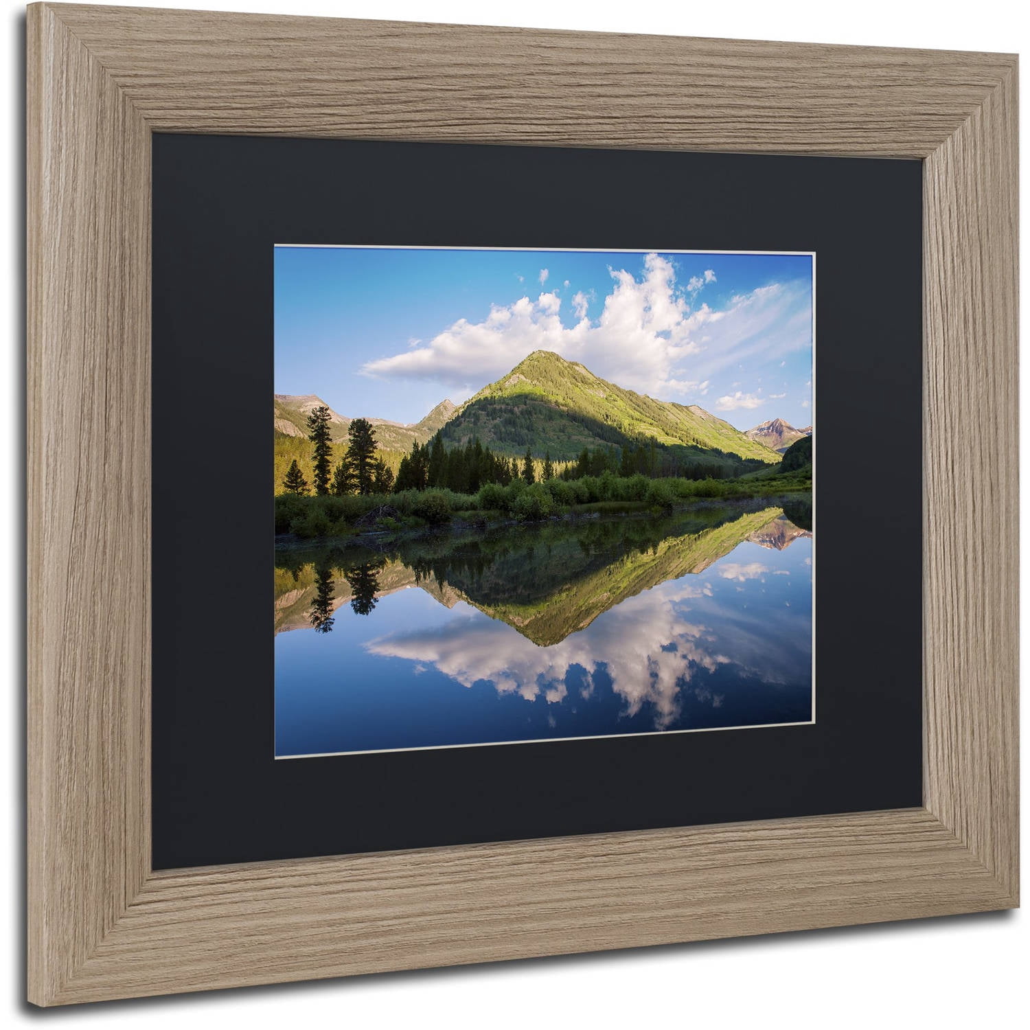Trademark Fine Art "Wings" Canvas Art by Michael Blanchette Photography Black Matte, Birch Frame