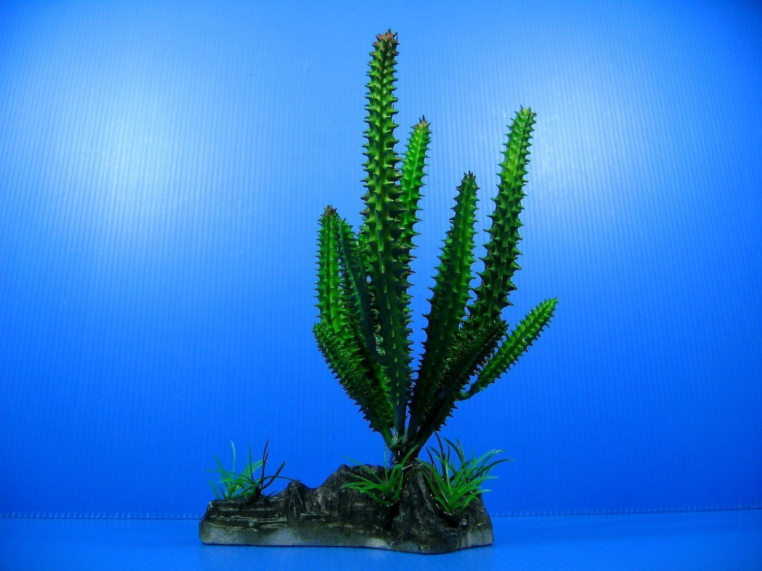 cactus aquarium decoration