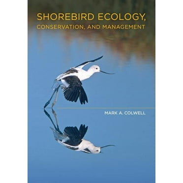 Shorebird Ecology, Conservation, and Management (Edition 1) (Hardcover)