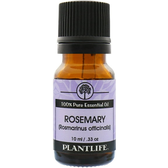 Plantlife Rosemary Aromatherapy Essential Oil - Straight From The Plant 100% Pure Therapeutic Grade - No Additives or Fillers - 10 ml