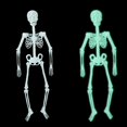thumbnail image 3 of Yard Skeleton 12 Ft Glow In The Dark Skeleton Props Bar House Decorations Fluorescent Skeleton Funny Decorations, 3 of 4