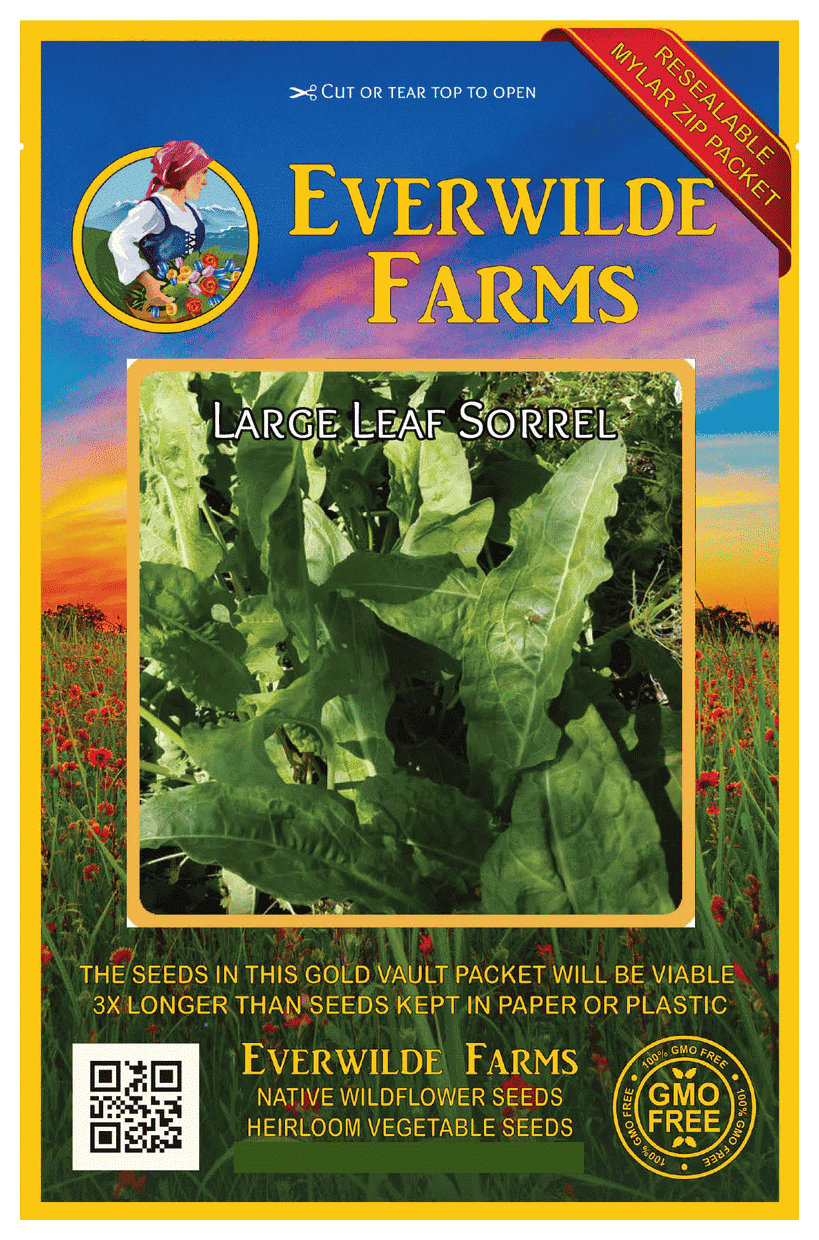 Organic Rare Sorrel Seeds Broadleaf Perennial Heirloom Herbs Natural