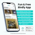 thumbnail image 4 of Birdfy Smart Bird Houses for Outside Solar Powered, 1080P HD Live View Bird House with Camera, Perfect Viewing Bird Nesting and Hatching, Bird Feeder with Camera for Most Birds, 4 of 10