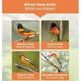 thumbnail image 4 of Nature's Way Wire Oriole Feeder with Protective Baffle, Orange, 4 of 4
