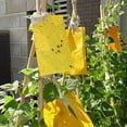thumbnail image 3 of Walbest 5 Pcs Insect Trap Large Area Hanging Sticky Glue Boards Fly Pest Bug Catcher Plate, 3 of 6