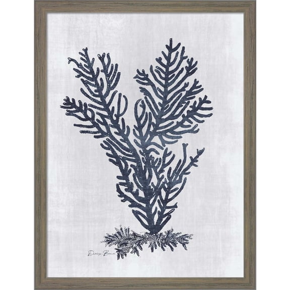 Great Art Now Sea Fan 2 v2 by Denise Brown, Framed Wall Art, 13W x 17H