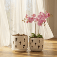 thumbnail image 4 of BUYMAX 5" & 6" Ceramic Orchid Pots with Holes and Trays, Mushroom Alabaster White, Set of 2, 4 of 8