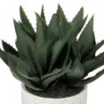 thumbnail image 2 of Vickerman FE181001 14 Po. Pot Succulent Vert en Béton Gris, 2 of 2