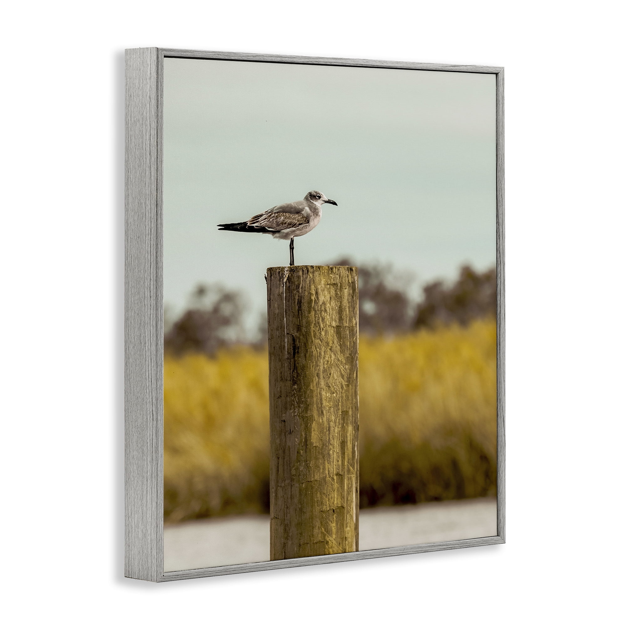 Stupell Industries Gull On Piling Gray Framed Giclee Art, design by Christy Berry