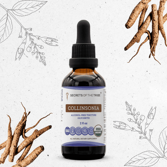 Secrets Of The Tribe Collinsonia Organic Dietary Supplement, Natural Herbal Tincture for Respiratory Health Support, Certified Organic Stoneroot (Collinsonia canadensis) Dried Root, Alcohol-Free 2 oz