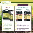 thumbnail image 6 of SCD Bio Ag, 1 Liter Microbial Inoculant, Natural Fertilizer and Probiotic Soil Amendment, 6 of 10