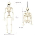 thumbnail image 3 of Crazy Bonez Pose-N-Stay Halloween Skeleton, Realistic, Fully Poseable Indoor & Outdoor Decoration, Durable Weather-Resistant Spooky Prop for Yard, Porch, Haunted House, 3 of 7
