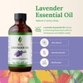 thumbnail image 6 of SVA Lavender Essential Oil – 4 Fl Oz – 100% Natural Lavender Oil - for Diffuser, Hair Care, Face, Skin Care, Aromatherapy, Scalp and Body Massage, Soap and Candle Making – with Dropper, 6 of 8