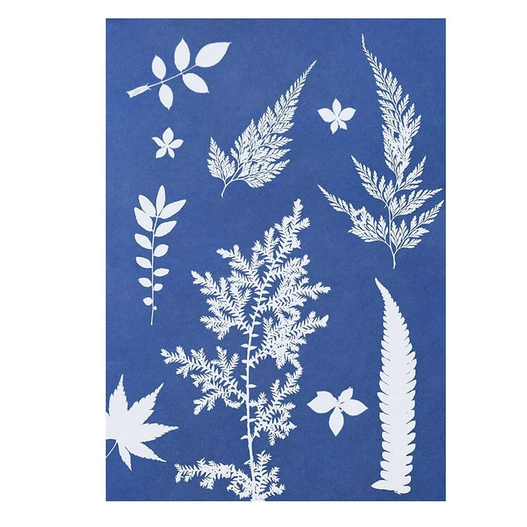 Cyanotype Kit, Craft Kit, Diy Craft, Cyanotype Bookmarks, Cyanotype Print,  Diy Kit, Solar Printing Kit, Cyanotype Paper, Cyanotype Art 