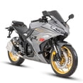 thumbnail image 2 of MOTOCICLETA DEPORTIVA DAYTONA GP1R GRIS/DORADO 2026, 2 of 5