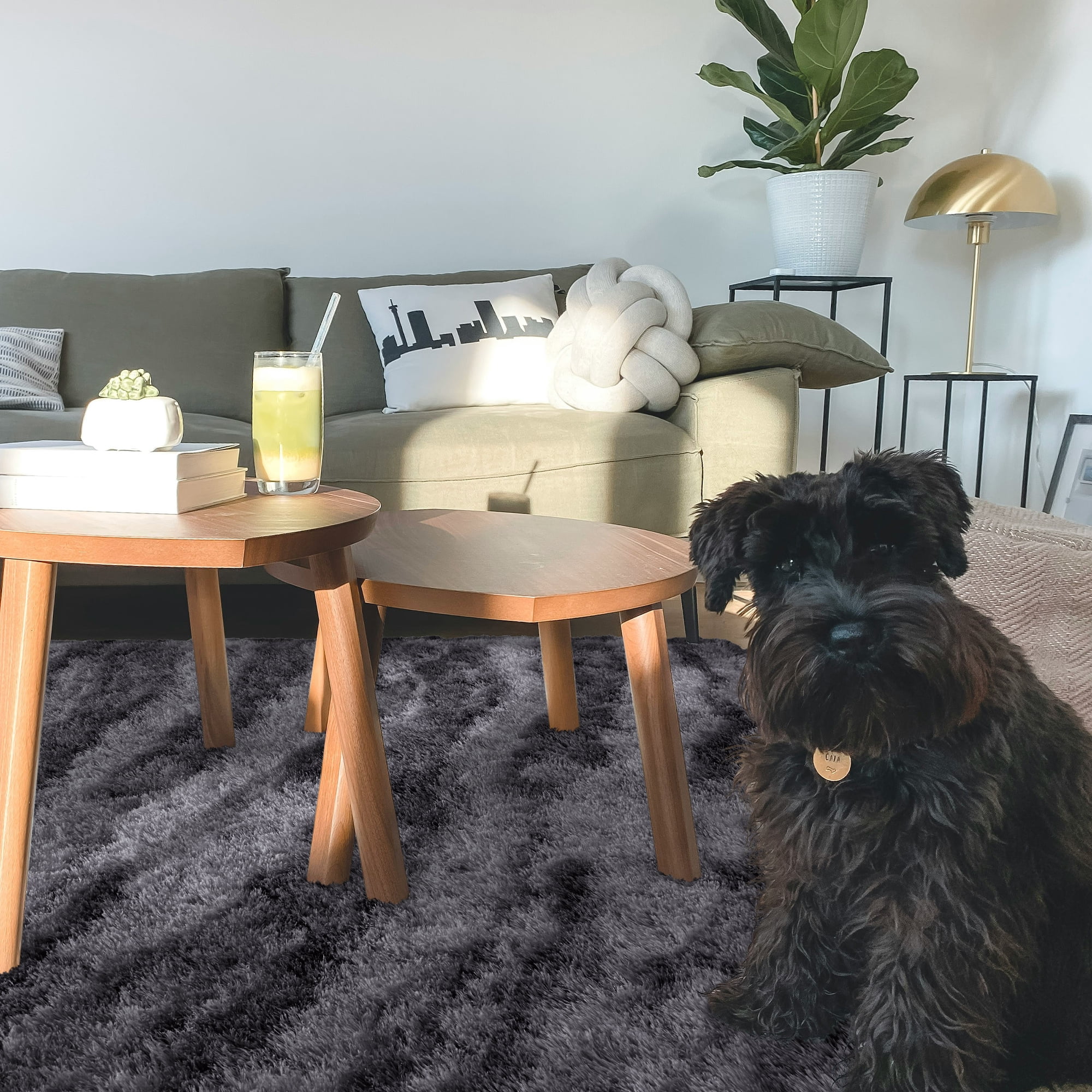 Cydiria Modern Dark Charcoal Plush Area Rug Scandinavian Shaggy Carpet for Living Room, 5' x 8'