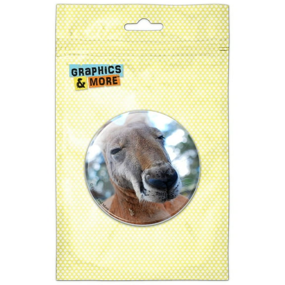 Kangaroo Close Up Pinback Button Pin Badge