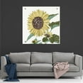 thumbnail image 7 of Epic Art 'Floral Study 3' by Stellar Design Studio, Acrylic Glass Wall Art, 36"x36", 7 of 7