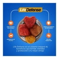 thumbnail image 4 of Alimento para Perro Ganador Cachorro Todas las Razas 2 kg, 4 of 4