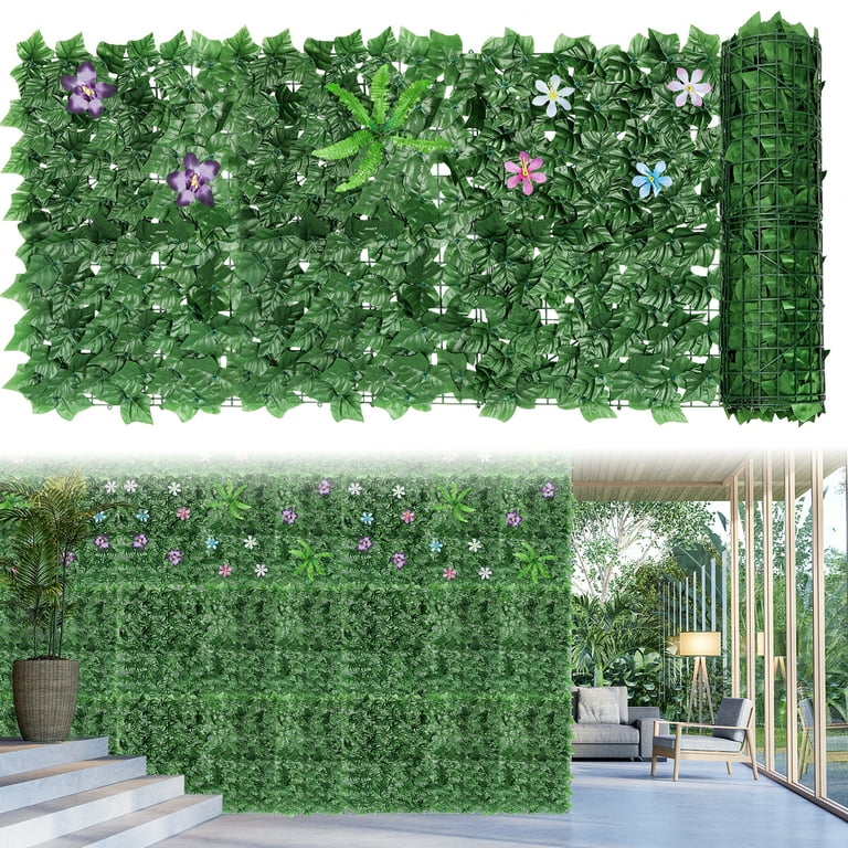 estragon plant European Tarragon main image 0