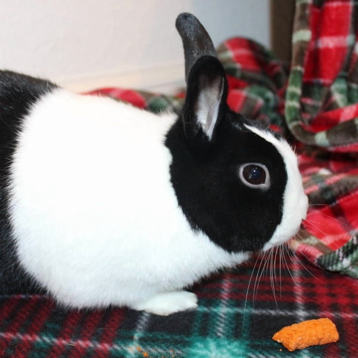 MENU SLIMS with CARROT TREAT for PET RABBITS, GUINEA PIGS and HAMSTERS 1.5OZ