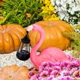 thumbnail image 6 of Zenco Loving Flamingo Garden Statue with Solar Lantern, for Patio and Lawn, 6 of 8