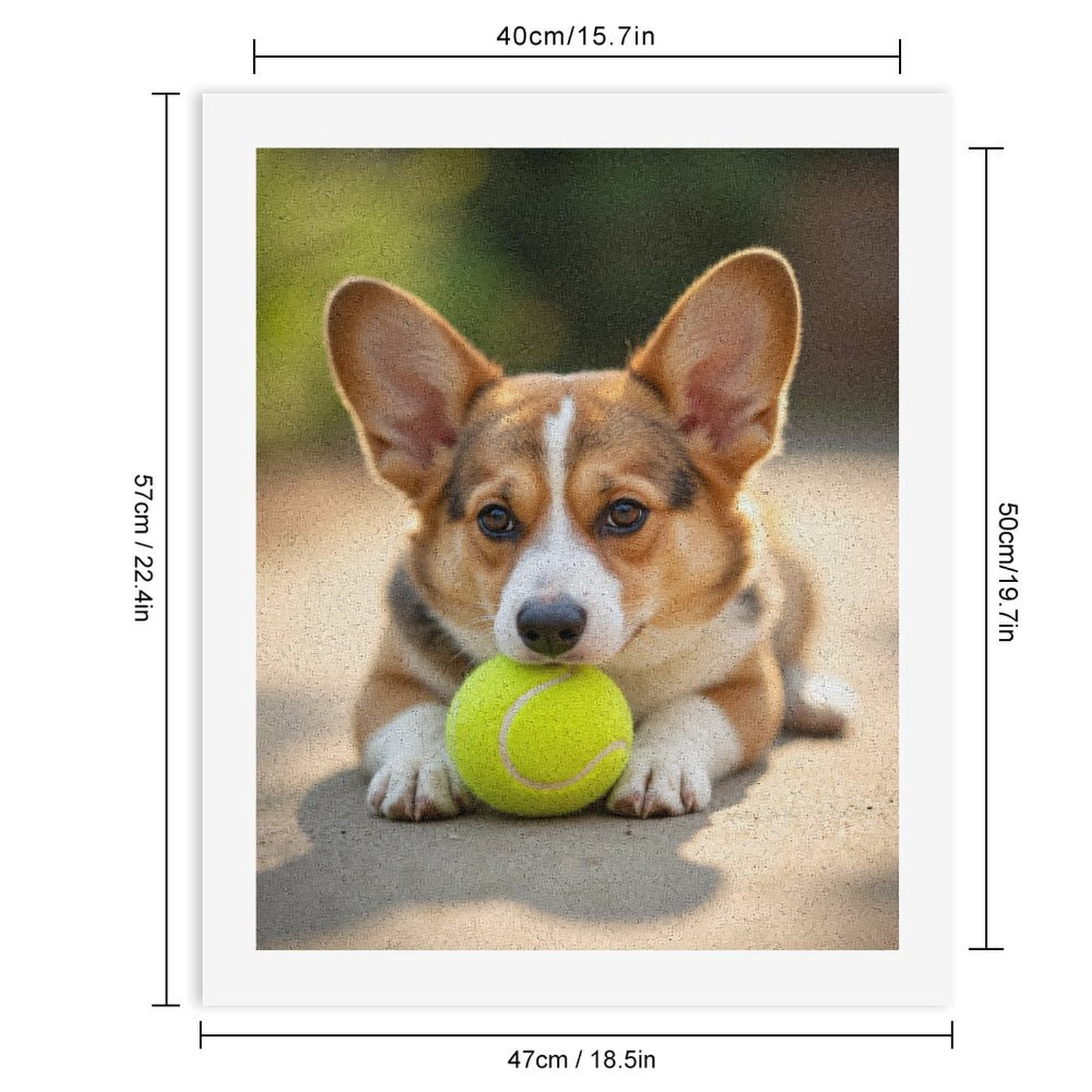 Paint By Numbers Kit for Adults Beginner - DIY Corgi Tennis Ball Playful Pup Canvas Painting Kits for Adults, Frameless Paint By Number for Adults for Home Wall Decor 16x20 Inch