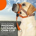 thumbnail image 5 of Dog Head Halter with Safety & Reflective Straps - Adjustable No-Pull Dog CollarMBlue, 5 of 5