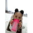 thumbnail image 3 of Dr. Brown's Milestones Insulated Sippy Straw Cup, Pink, 12m+, 2x300mL Cups, 3 of 7