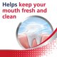 thumbnail image 3 of Parodontax Active Gum Health Enjuague Bucal Antiplaca y Antigingivitis Enjuague Bucal Menta 16.9 Fl Oz, 3 of 8