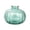 Green, variant on Racsoh Brown Glass Pumpkin Vase, Transparent Hydroponic Flower Vessel, Thanksgiving Table Centerpiece, for Dried Fresh Flowers Home Decor (Brown)