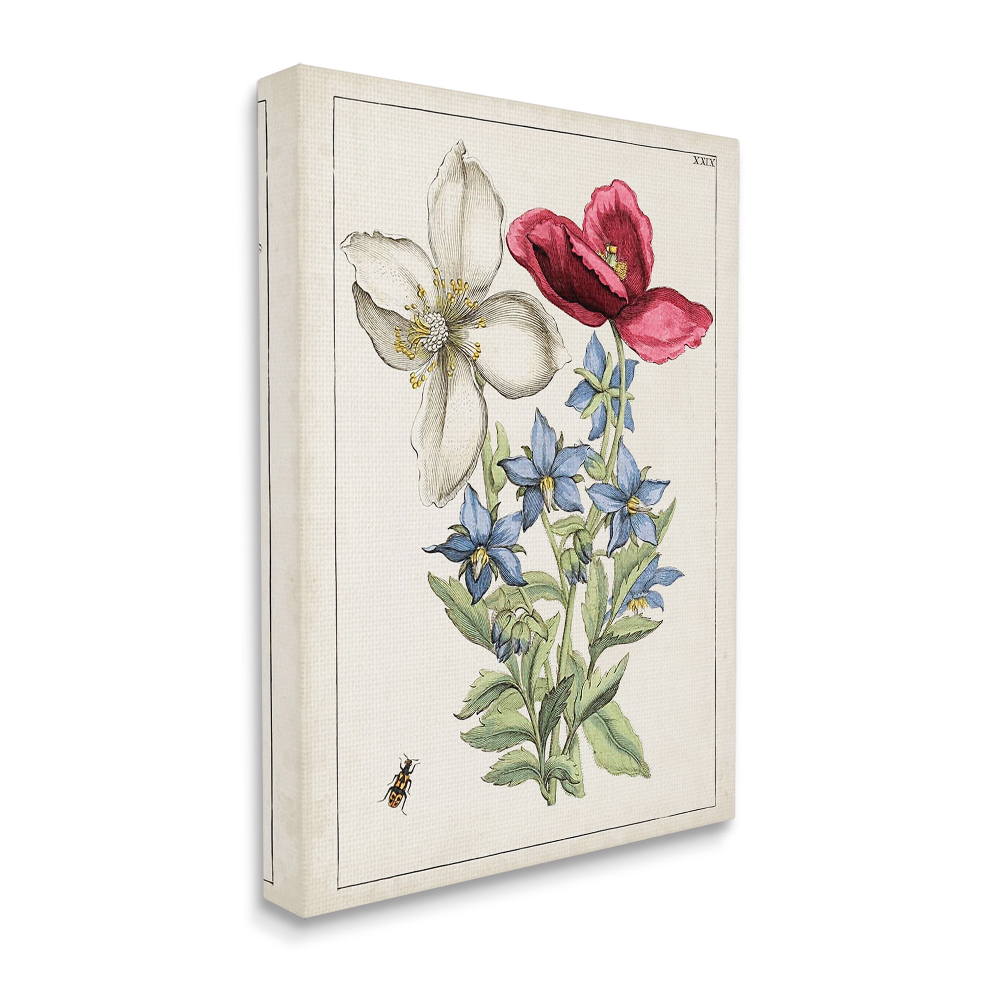 Stupell Industries Vintage Beetle & Flowers Botanical & Floral Painting Gallery Wrapped Canvas Art Print Wall Art, 16 x 20