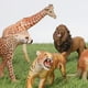 thumbnail image 2 of Safari Zoo Animales Figuras Juguetes, Figuras realistas de animales de la selva, Animales de plástico salvajes africanos Juego de aprendizaje educativo para niños pequeños, Niños, Niños Lobo Sailing Electrónica, 2 of 5