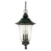 Nuvo Lighting 60982 - 3 Light (Candelabra Screw Base) 24.2" Parisian Textured Black with Fluted Seed Glass Hanging Lantern (60-982)