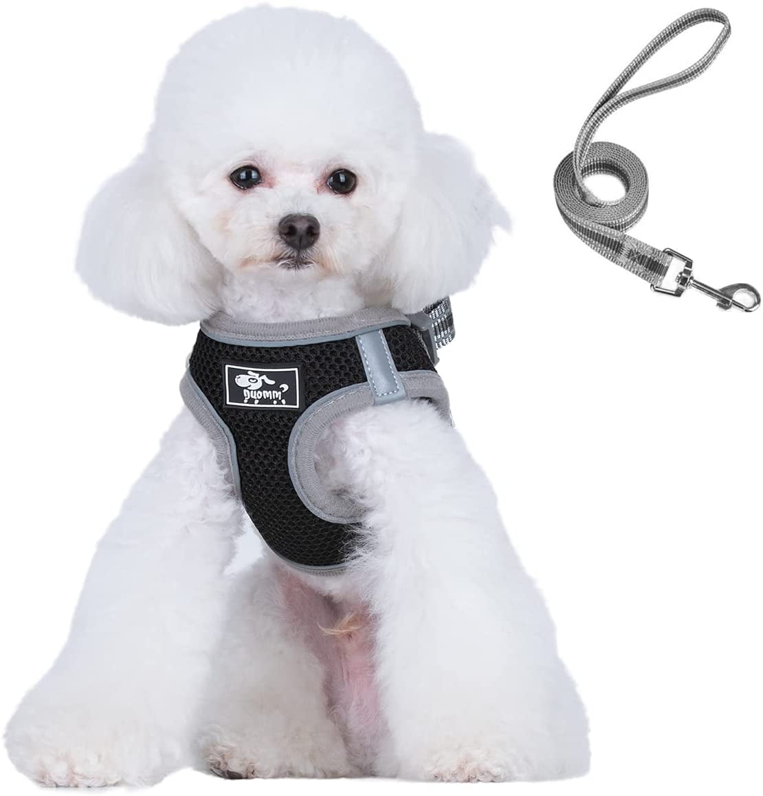 S,M,L Dog and Cat Universal Harness,Durable D-Ring Kitten Harness with Reflective Strap Soft Dog Vest Harness No Pull Cat Harness and Leash Set Step in Puppy Harness for Small Dogs 