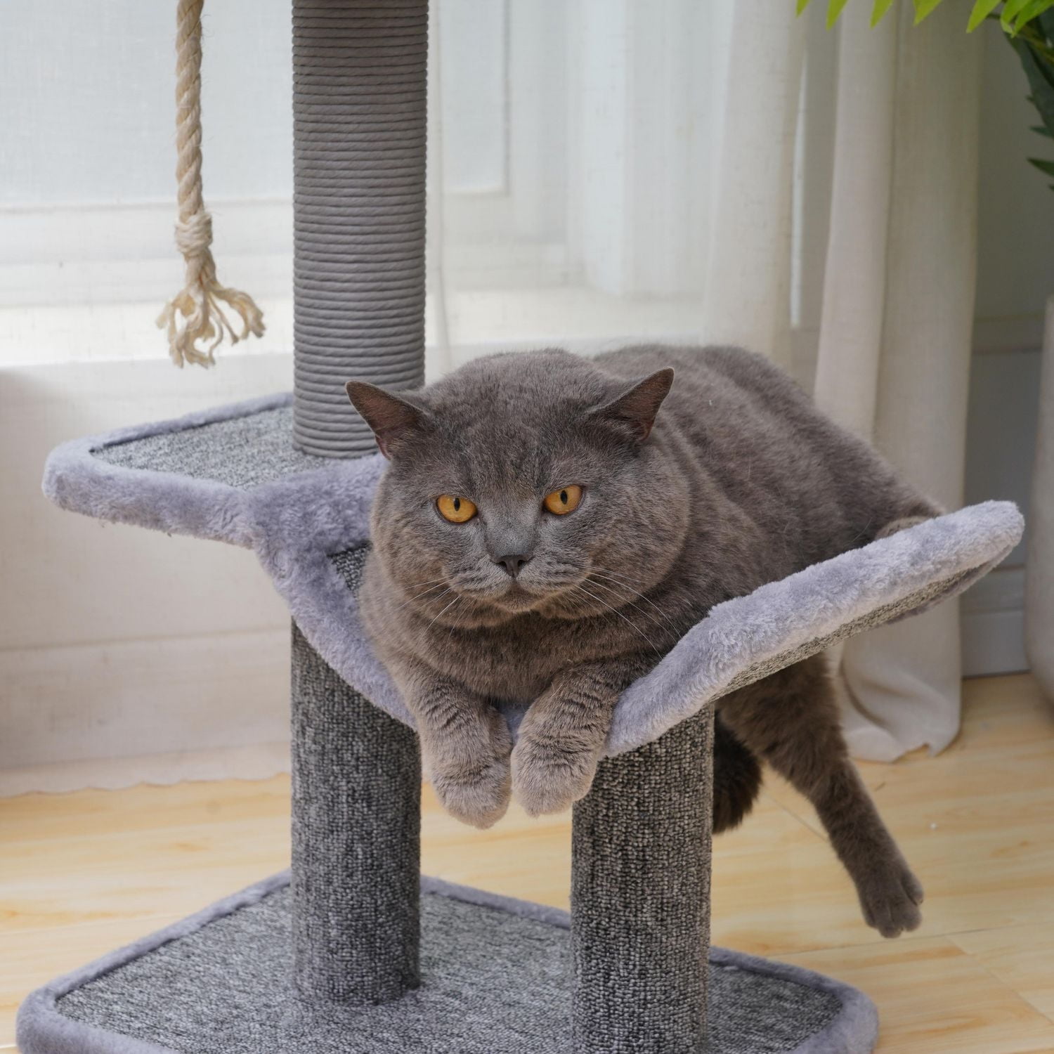 Catry Grimbit Small Minimalistic Carpet Cat Tree