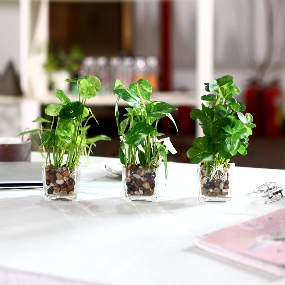 K-Cliffs 3pcs Modern Artificial Green Mini Faux Plants  in Glass Pots, Each plant- 5.7L x 5.7W x 9.3H inches; each pot- 2.7L x 2.7W x 2.6H, 1 lb